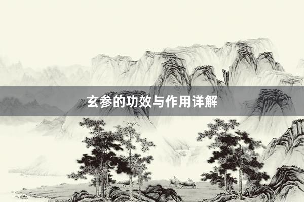 玄参的功效与作用详解