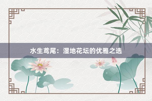 水生鸢尾：湿地花坛的优雅之选