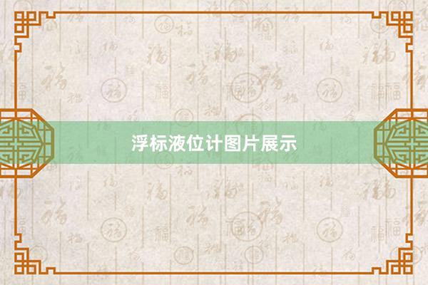 浮标液位计图片展示