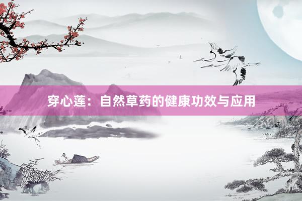 穿心莲：自然草药的健康功效与应用