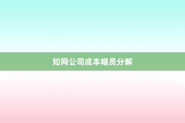 知网公司成本幅员分解